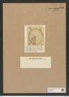 Aulacodiscus rattrayi var. convexus (Gr. et St.) Rattr. (de-Toni-Nr.: Genus 182, Species 4562) Zeichnungen Sammlung Grunow Nr. 8181 (NHMW-BOT-W0377556)